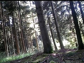 lilian77 : dans un bois 01 - in the wood 01